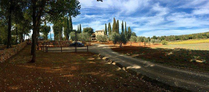 La Tenuta Di Castelvecchio Сан-Джиміньяно Екстер'єр фото